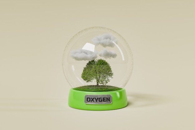 glass sphere with a ecosystem inside