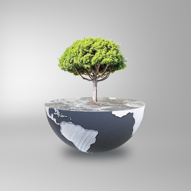 globe with tree grey background