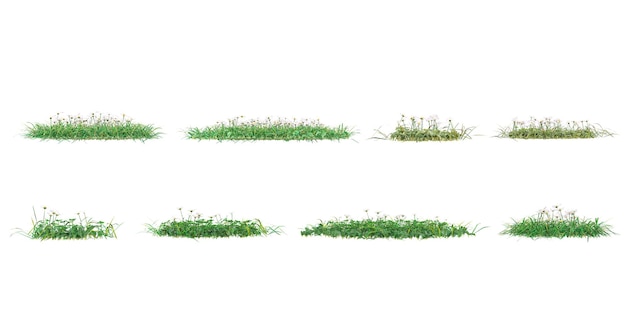 grass isolated on white background vector illustration