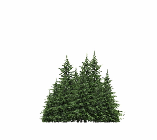 group of trees isolated on a white background big trees in the forest 3d illustration cg render