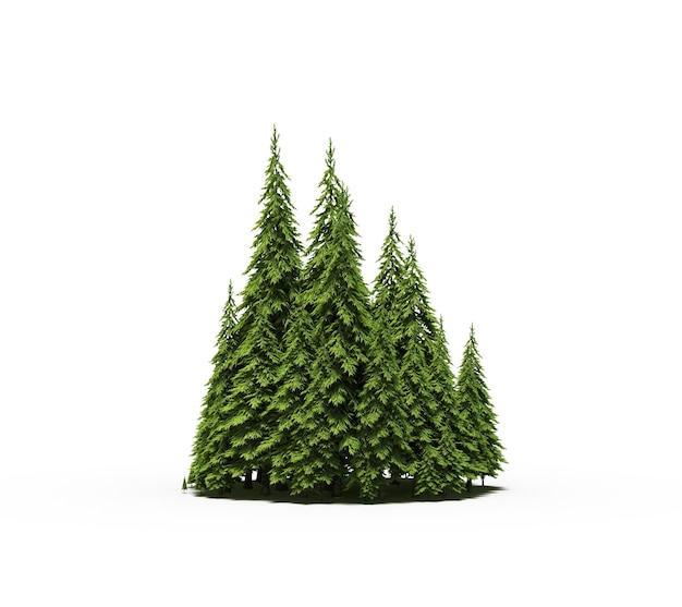 group of trees with a shadow on the ground isolated on a white background trees in the forest 3d