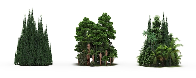 group of trees with a shadow on the ground isolated on a white background trees in the forest 3D