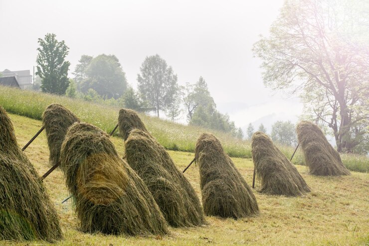 Fotografie haystack in mountaing village