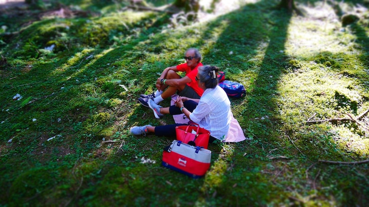 Fotografie high angle view of senior couple sitting on grassy field