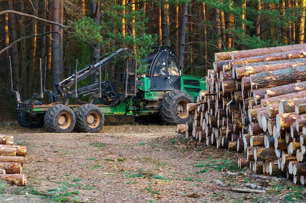 Logging equipment in the forest loading logs for transportation Harvesting and storage of wood in the forest Transportation of freshly cut logs for the forest industry
