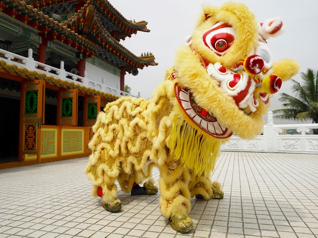 low angle view yellow lion dance at temple