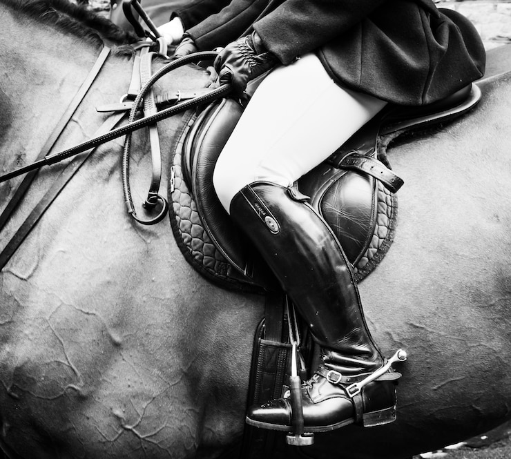 Fotografie low section of person riding horse