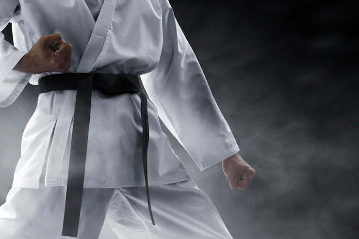 Fotografie martial arts fighter