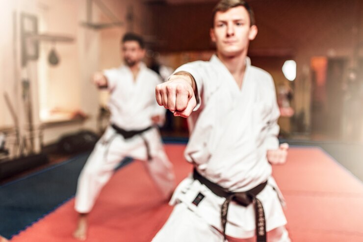 Fotografie martial arts fighters on workout in gym