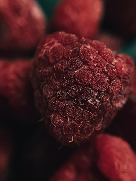 Photo of a macro raspberry on a dark background