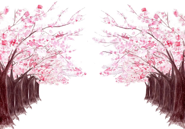 Pink sakura tree horizontal card isolated on white Watercolor hand painted art