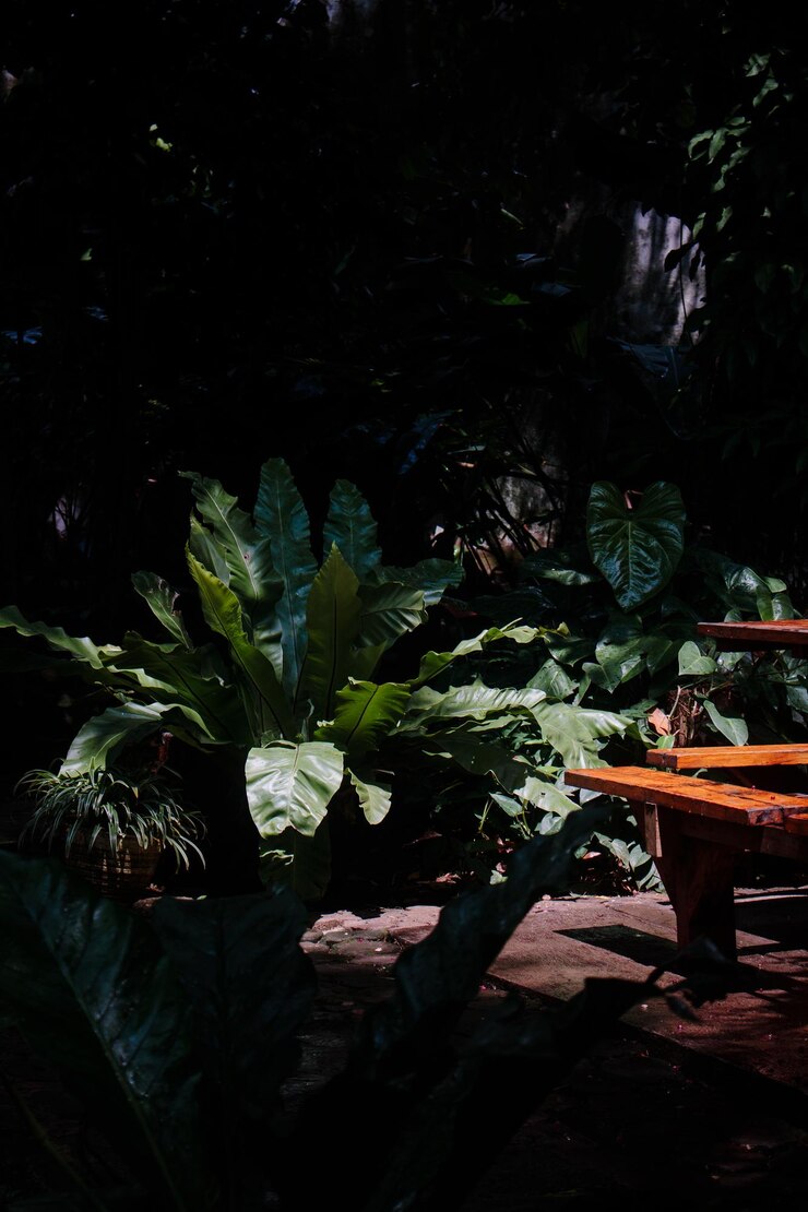 Plant in the Park