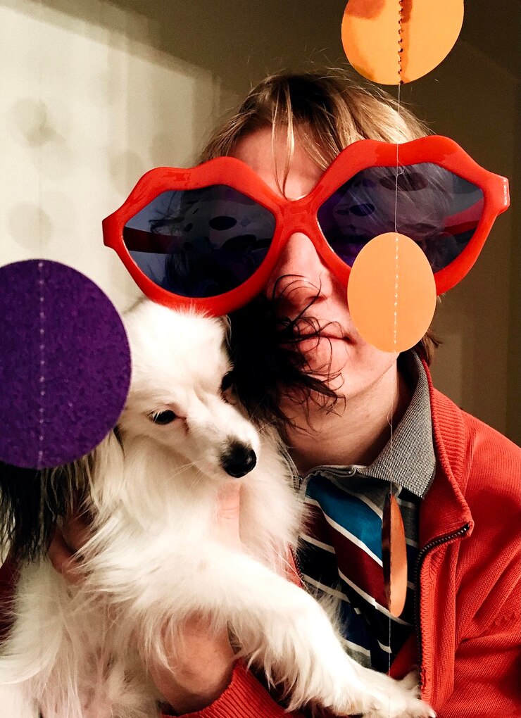 Fotografie portrait of dog wearing sunglasses at home