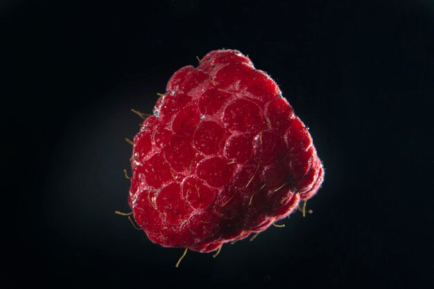 Raspberries in water on a black background closeup