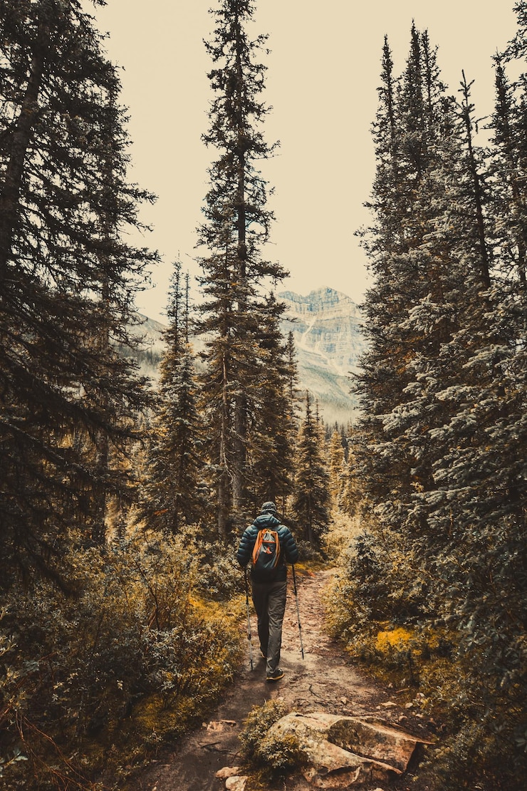 Fotografie rear view of man walking in forest