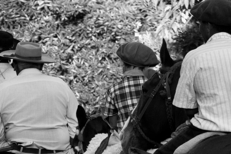 Fotografie rear view of people sitting on land