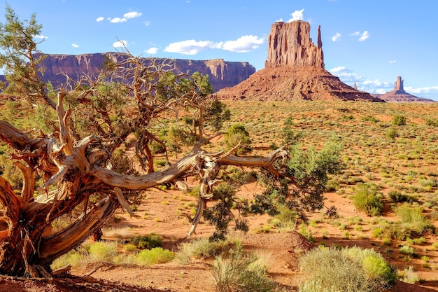 Scenic view of monument valley