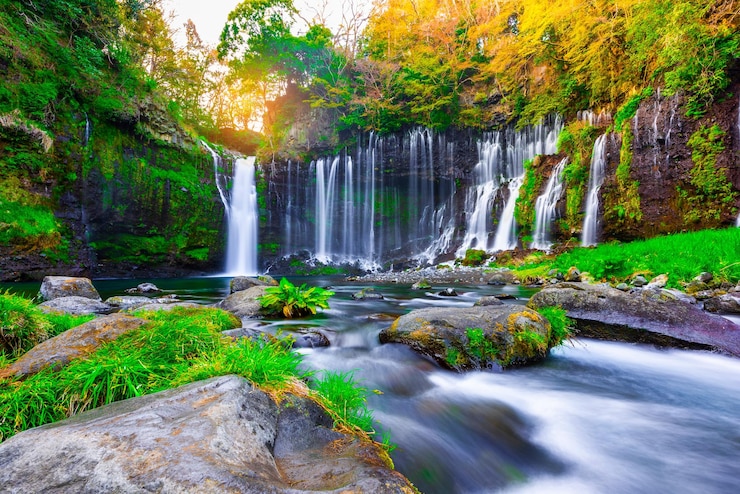 Fotografie scenic view of waterfall in forest