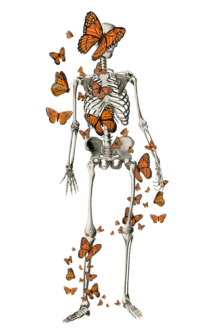 Fotografie skeleton butterfly png sticker transparent background