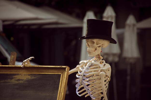 Skeleton by frame