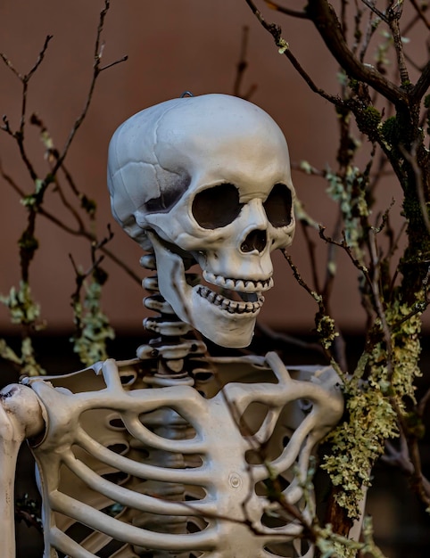 Skeleton halloween decoration