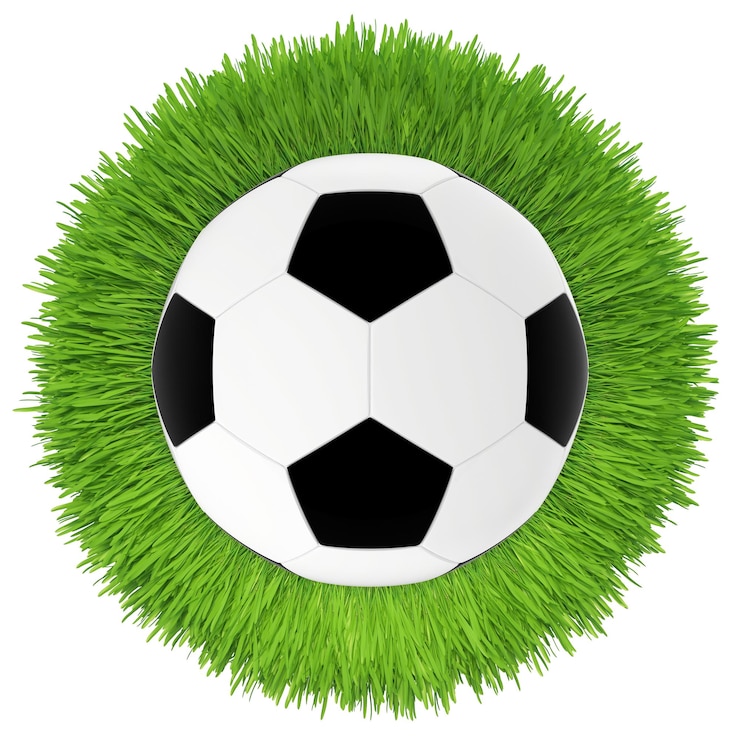 Fotografie soccer ball on green grass lawn