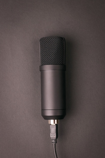 Stylish condenser microphone on a dark background. Sound recording equipment.