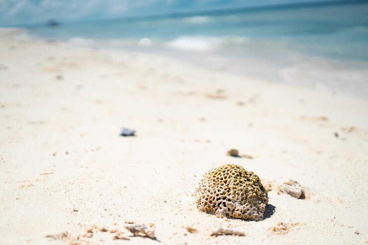 Fotografie summer beach background sand and sea and sky