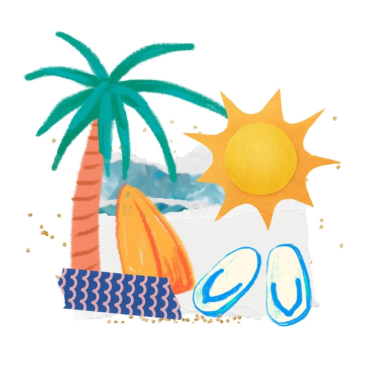 Fotografie summer palm tree png sticker transparent background