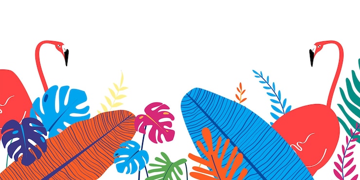 Fotografie summer png border transparent background