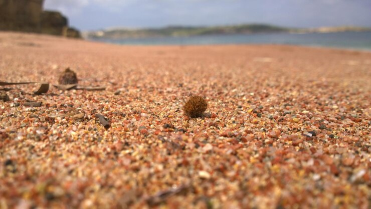 Fotografie surface level of pebbles