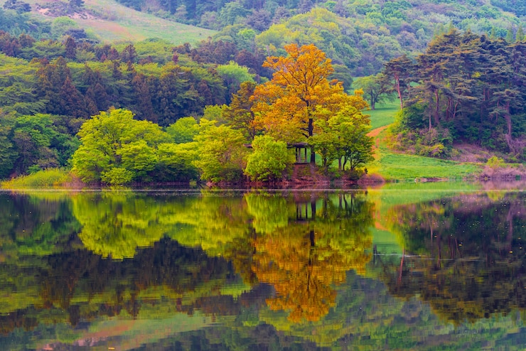 Fotografie the lake of spring green at yongbi lake in seosan, south chungcheong province, korea
