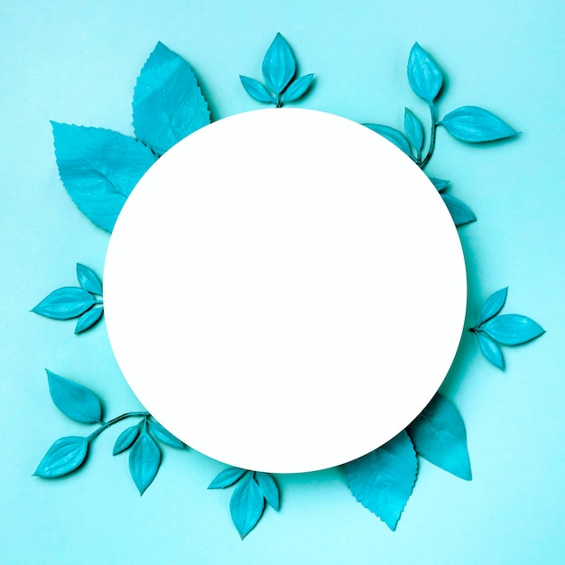 Top view white circle surrounded by green leave