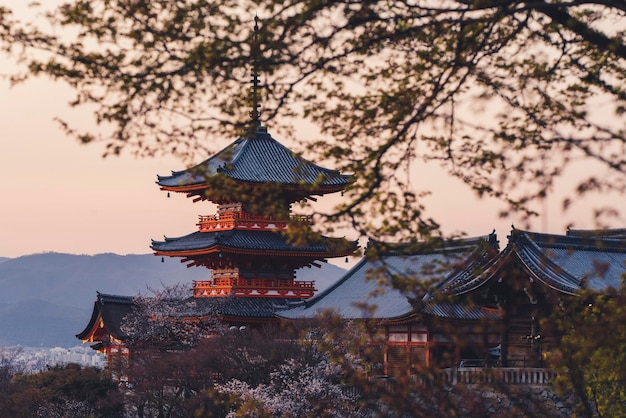 traditional building against sky