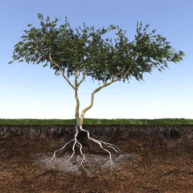 tree with strong and deep roots, 3d render