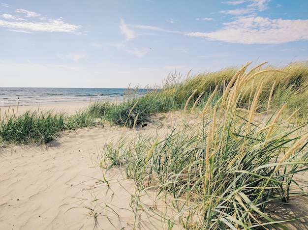 View of calm sandy beach against the sky