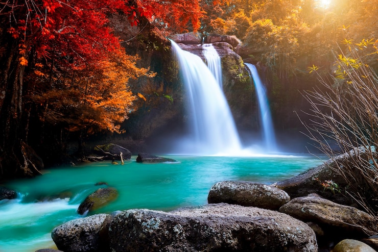 Fotografie view of waterfall in forest