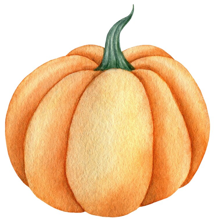 Fotografie watercolor orange pumpkins harvest vegetable illustration isolated on the white background
