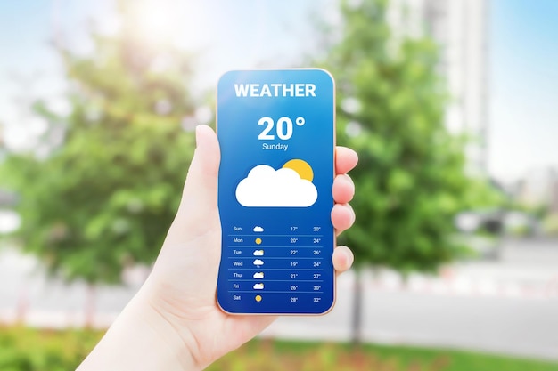 Weather forecast mobile application for smartphone on a trees background