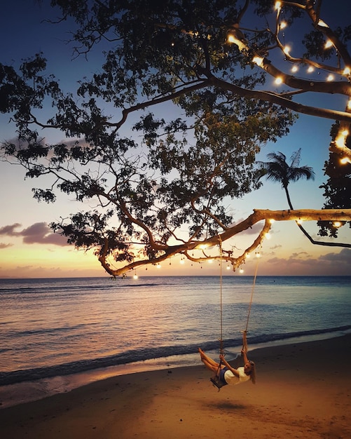 woman enjoying swing at beach during sunset