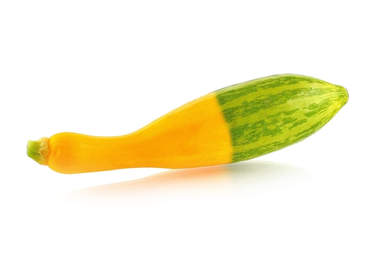 Fotografie zucchini isolated on white background