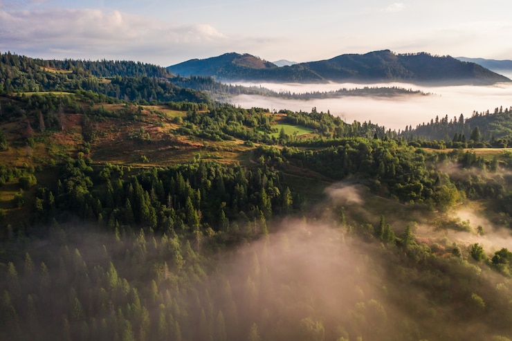 Zdarma Fotografie aerial view of colorful mixed forest shrouded in morning fog on a beautiful autumn day