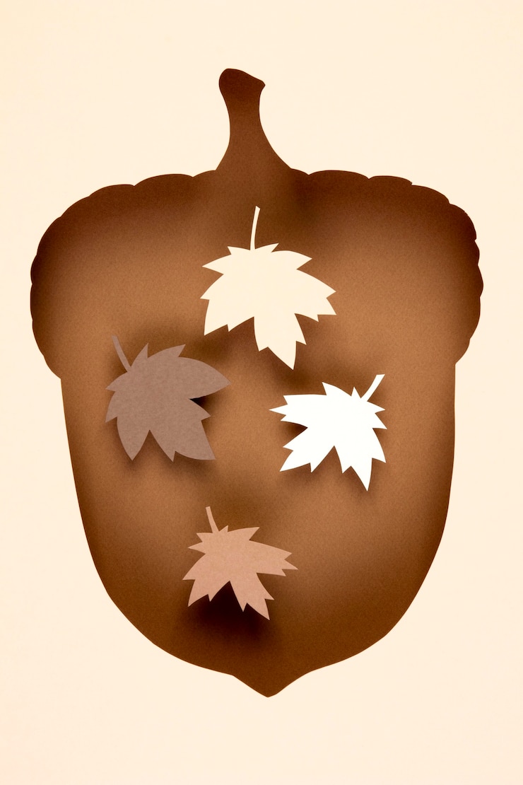 Zdarma Fotografie autumn assortment in paper style