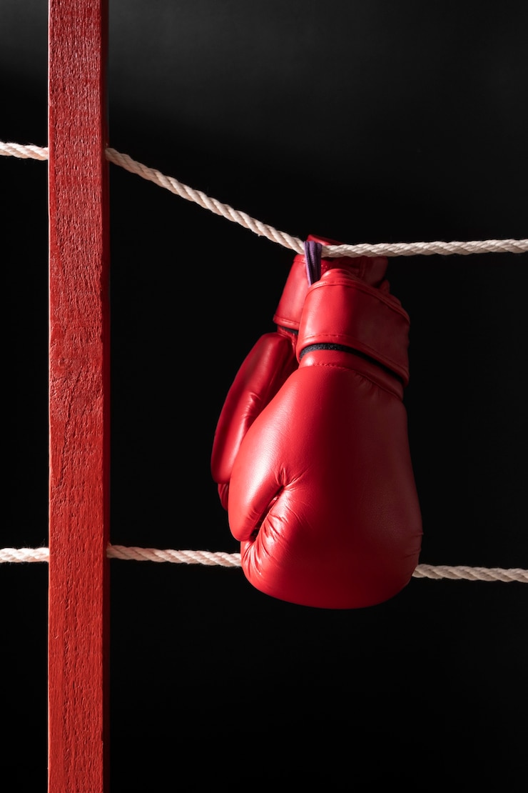 Zdarma Fotografie boxing gloves hang by the ring