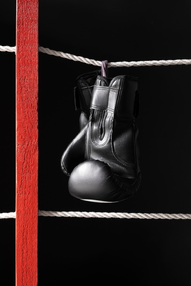 Zdarma Fotografie boxing gloves hang by the ring