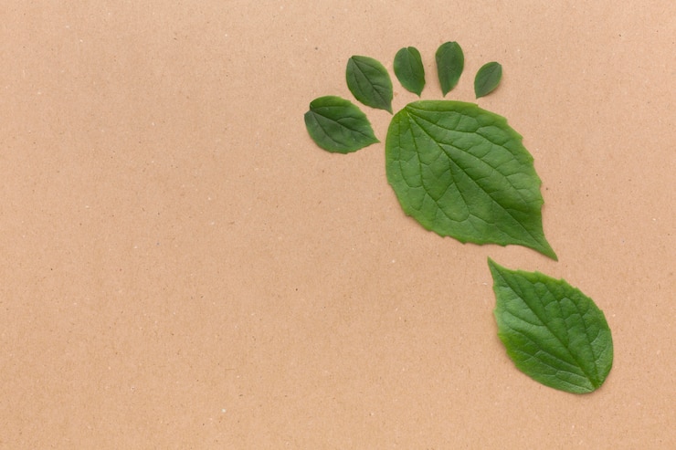 Zdarma Fotografie copy-space leaves collection
