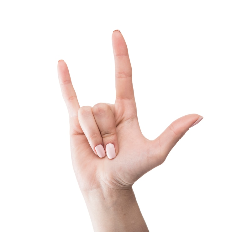 Zdarma Fotografie crop hand gesturing horns