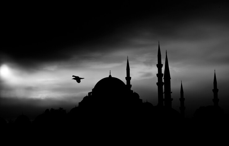 Zdarma Fotografie dark landscape with bird flying