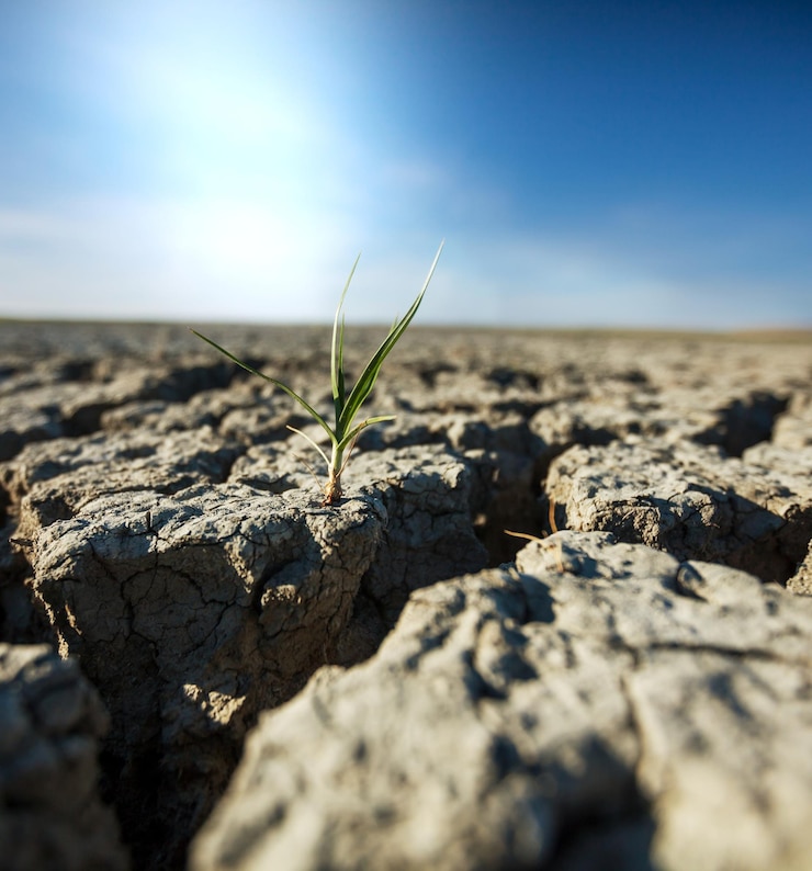 Zdarma Fotografie drought