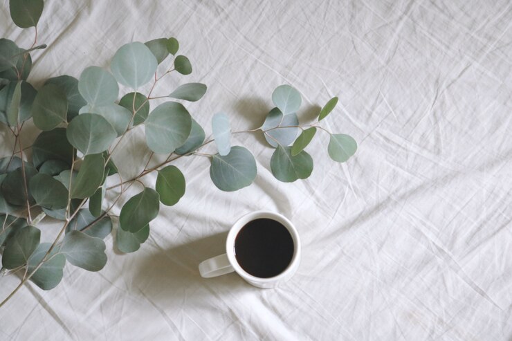 Zdarma Fotografie flat lay white ceramic mug with coffee next to silver dollar gum tree leaves on white bed-sheet